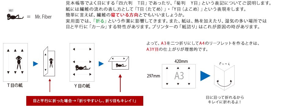 紙の目について